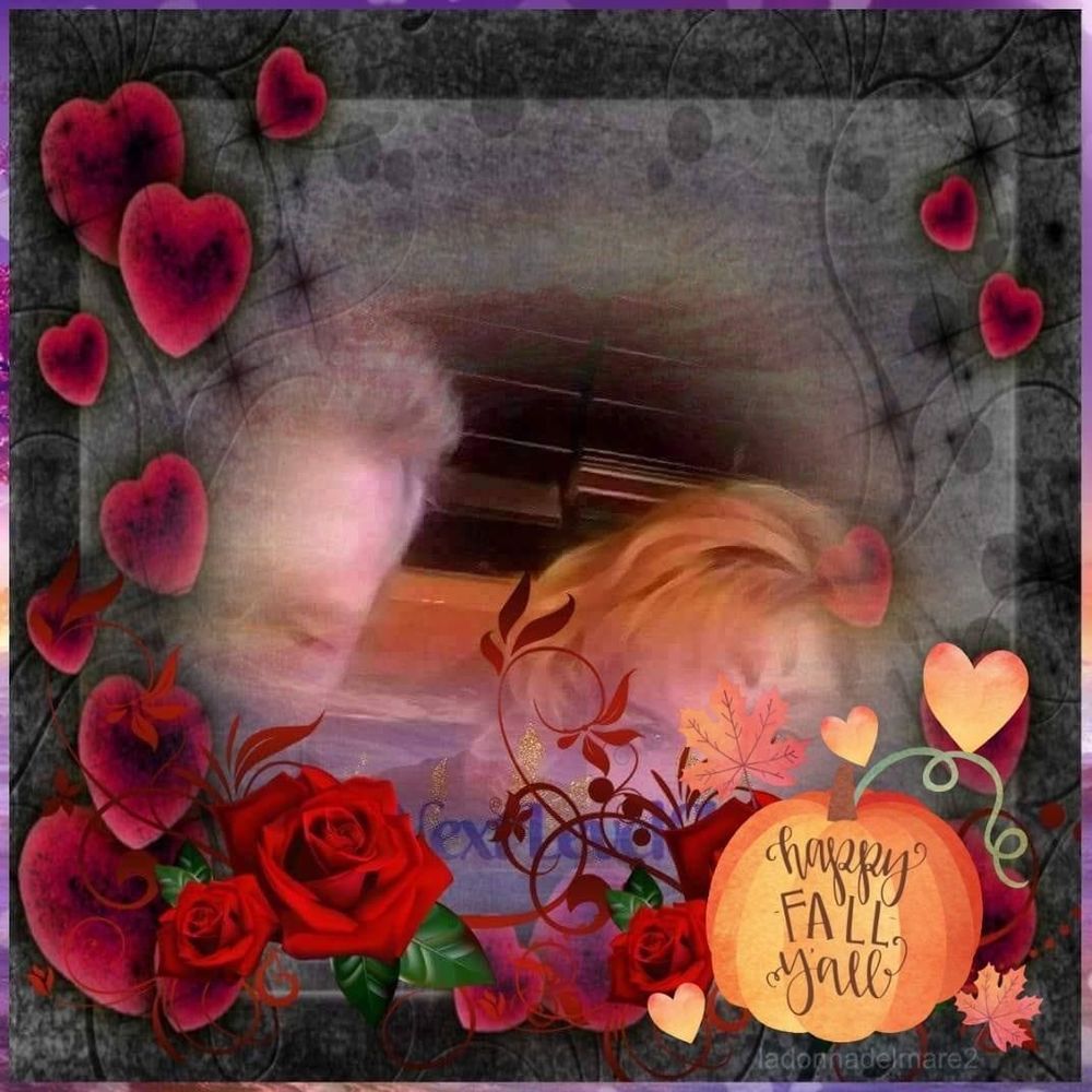 Meet your Posher, Kim